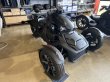 画像1: RYKER900 SPORT